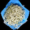 Bouquet of Gypsophila (HB56) - FLOWERS IN MIND