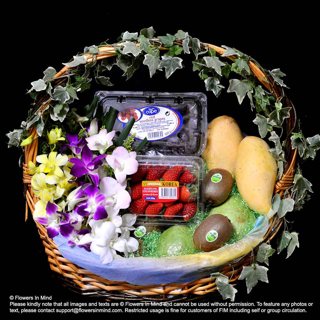 Wellness Hamper (WH41)