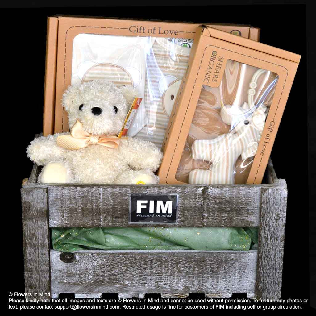 ORGANIC New Born Hamper (NB37)