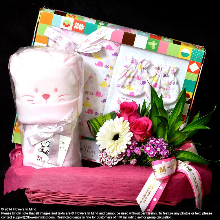 New Born Hamper (NB26)