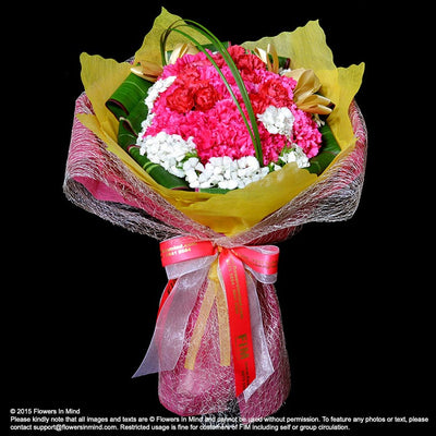 Bouquet of Carnations (HB149) - Flowers-In-Mind