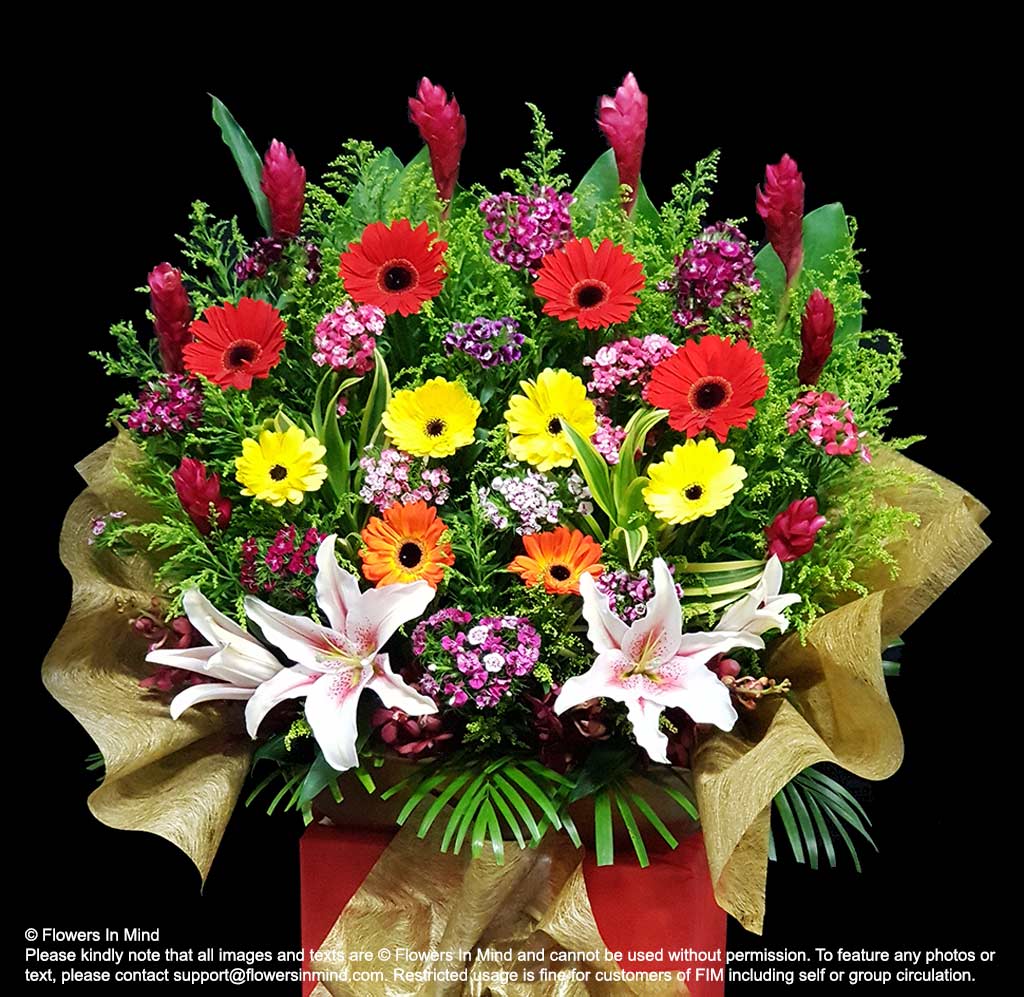 Opening Ceremony Box Design (OC19)