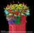 Opening Flowers |  Grandest congratulatory flower arrangement (OC22)