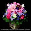 Table Arrangements (TA294) - Flowers-In-Mind