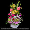 Contract Flowers (12 months or 52 weeks subscription) - Flowers-In-Mind