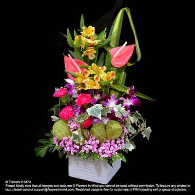 Contract Flowers (12 months or 52 weeks subscription) - Flowers-In-Mind