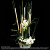 Table Arrangements  (TA81) - FLOWERS IN MIND