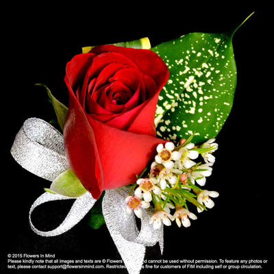 Corsage with Roses (Red) - Flowers-In-Mind