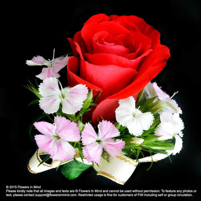 Corsage with Roses (Red) - Flowers-In-Mind