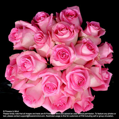 Pink Roses Bridal bouquet in natural stem (WD162) - Flowers-In-Mind