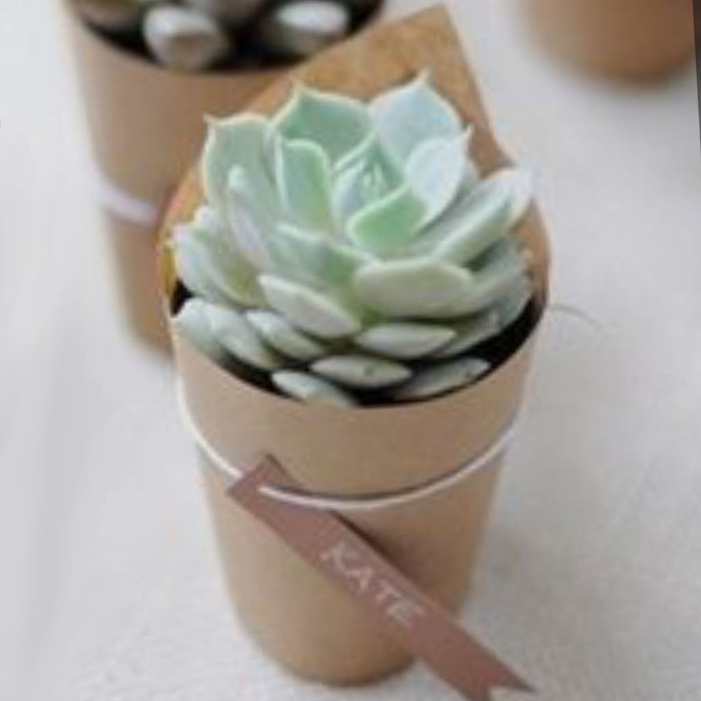 Wedding / Event Floral Door Gifts (WD173)