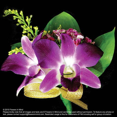 Corsage with Orchids - FLOWERS IN MIND