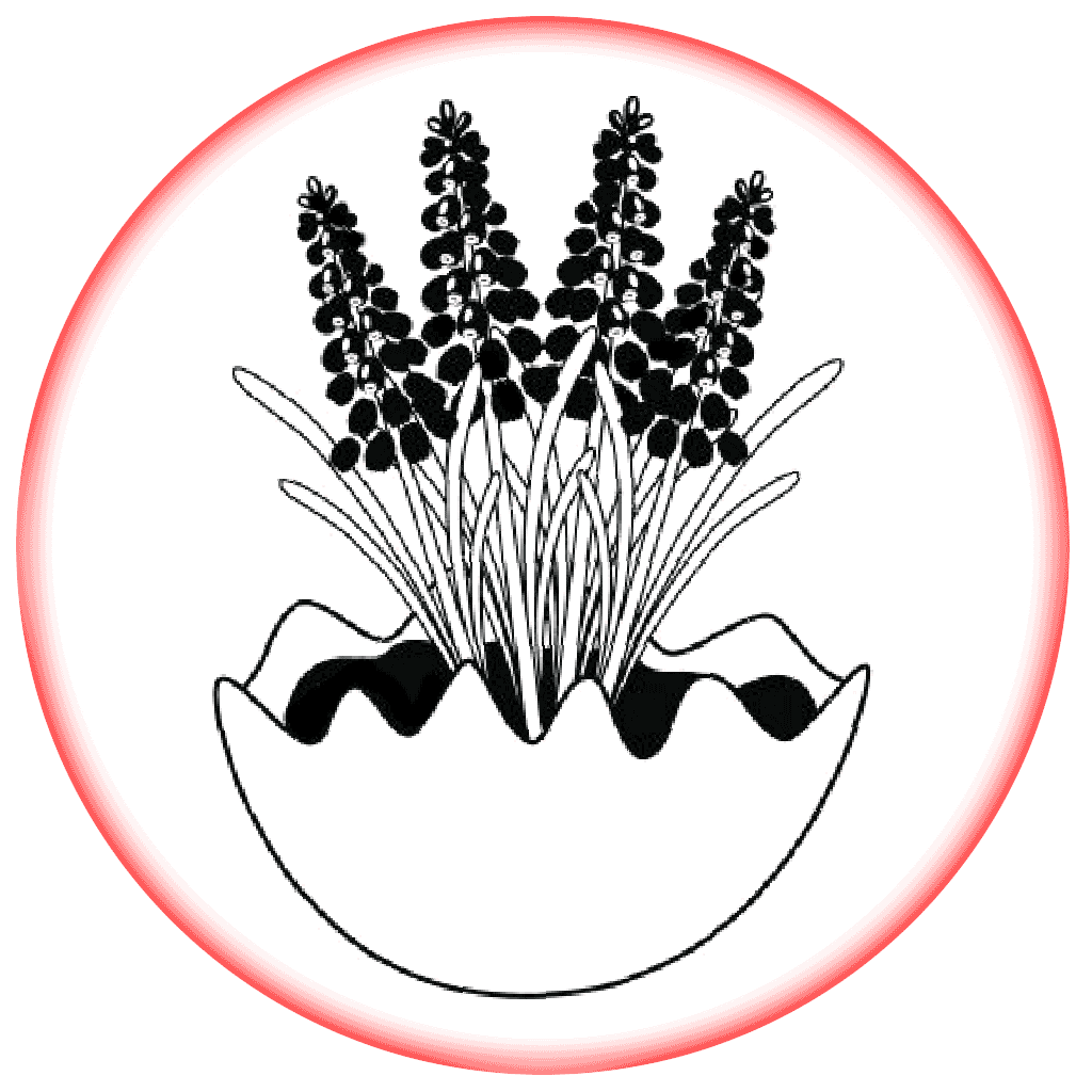 Contract Flowers (12 months or 52 weeks subscription)